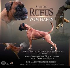 Rufus vom Hafen Rufus vom Hafen