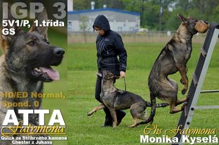Atta Fatymona Atta Fatymona