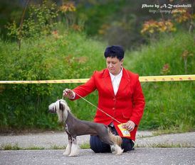 Zheneva-debjut Reality Show Zheneva-debjut Reality Show