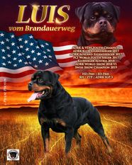Luis vom Brandauerweg Luis vom Brandauerweg