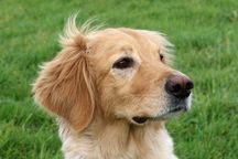 Bild von Jule vom Julienhof