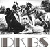 Deutscher Klub für Belgische Schäferhunde e.V. (DKBS)