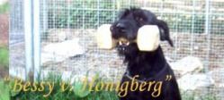 Bessy vom Honigberg Bessy vom Honigberg