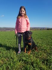 Bailee vom Koblenzer Eck Bailee vom Koblenzer Eck
