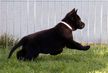 Hanspeter Trottmann Annamarie Kessler