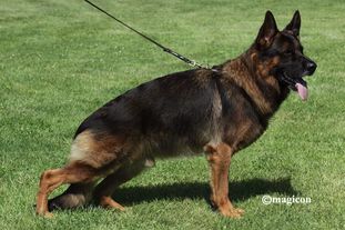 Fritz von Oasis Fritz von Oasis