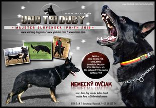 Uno Tri Duby Uno Tri Duby
