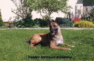 Fanny Meggan Bohemia Fanny Meggan Bohemia
