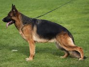 Ofra von der Piste Trophe