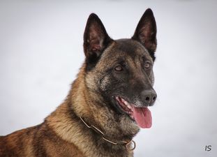 Lou von Nacheron Lou von Nacheron