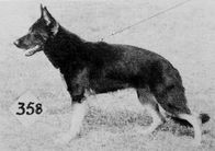 Gitta von der Buschecke
