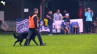 Aro von der Feuerquelle Aro von der Feuerquelle