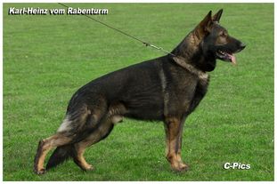 Karl-Heinz vom Rabenturm Karl-Heinz vom Rabenturm