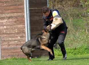 Inferna vom Marchgraben Inferna vom Marchgraben