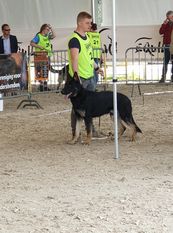 Rexx Magic van Esblokhof Rexx Magic van Esblokhof