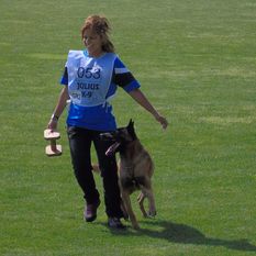 Dragon Veranis K-9 Dog Center Dragon Veranis K-9 Dog Center