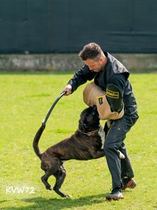 Fifus European K9 training base