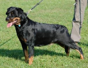 Brenda von St.Niclas Brenda von St.Niclas