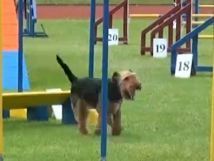 Queue Jumping Lotte von Goldschmieding Queue Jumping Lotte von Goldschmieding