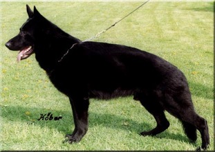 Irko von Haus Anja Irko von Haus Anja
