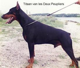 Titaan les Deux Peupliers Titaan les Deux Peupliers
