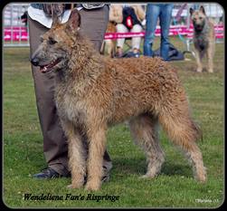 Wendelien fan 'e Rispringe Wendelien fan 'e Rispringe