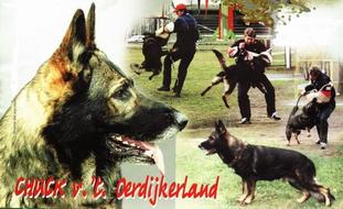 Chuck van't Oerdijkerland Chuck van't Oerdijkerland