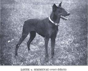 Lotte I von Simmenau Lotte I von Simmenau