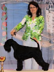Prestige od Dalajského potoka Prestige od Dalajského potoka