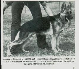 Argus von der Rheinhöhe Argus von der Rheinhöhe