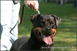 Pia vom Spitzbubenberg Pia vom Spitzbubenberg