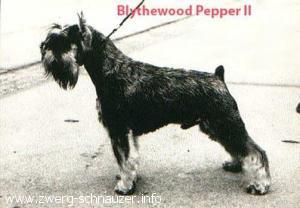 Blythewood Pepper II Blythewood Pepper II