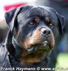 Arzadons Tayson Arzadons Tayson