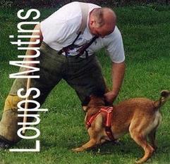Pow-Wow des Loups Mutins Pow-Wow des Loups Mutins