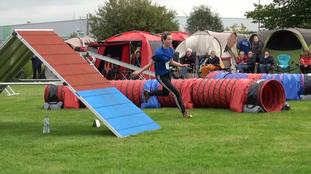 Energy Easy vom Ponywappen Energy Easy vom Ponywappen