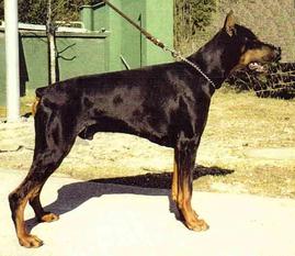 Uran von Bayern Uran von Bayern