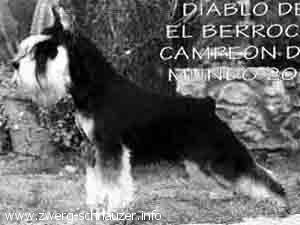 Diablo del Berrocal Diablo del Berrocal