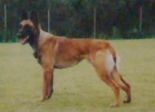 Kukay's Ron Kukay's Ron