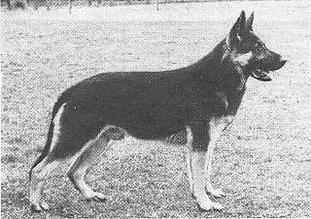 Ajax von der Kieler Bucht Ajax von der Kieler Bucht