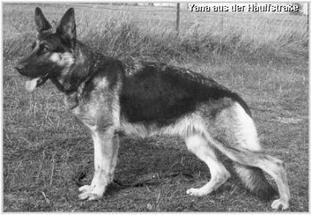 Yana aus der Hauffstraße Yana aus der Hauffstraße