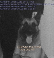 Limonar ALSH 9158 Limonar ALSH 9158