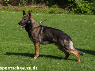 Uras von Prevent Uras von Prevent