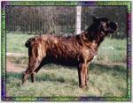 Asia,AG97L9730 Asia,AG97L9730