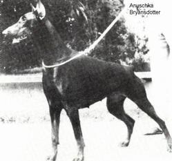 Anuschka Bryansdotter Anuschka Bryansdotter