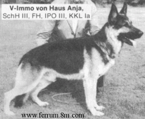 Immo von Haus Anja Immo von Haus Anja