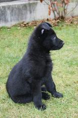 Buffy von Jedermann Buffy von Jedermann