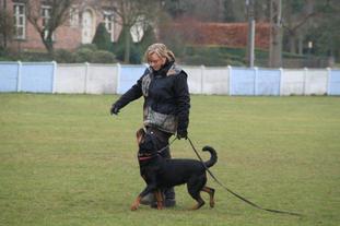Diana vom Kinzigtal Diana vom Kinzigtal
