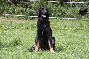 Jukon von der Tannenmühle Jukon von der Tannenmühle