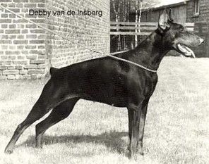 Debby van de Insberg Debby van de Insberg