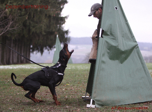Ataraxie's Black-Jack Ataraxie's Black-Jack